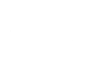 Logo The Best Pyrenees